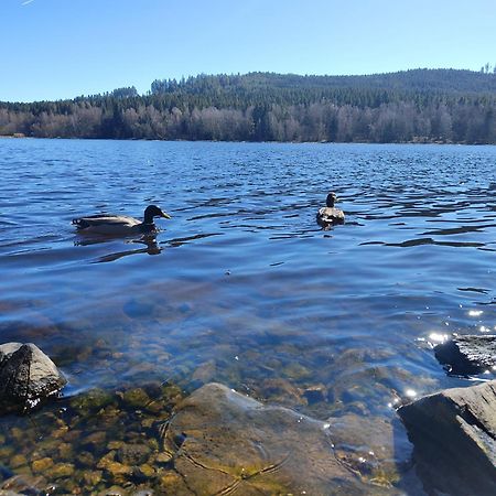 Lipno Pearl 4 Leilighet Lipno nad Vltavou Eksteriør bilde